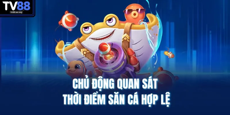 Chủ động quan sát thời điểm săn cá hợp lệ