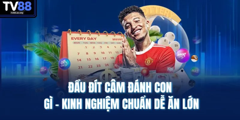 Đầu Đít Câm Đánh Con Gì - Kinh Nghiệm Chuẩn Dễ Ăn Lớn 1 Đầu Đít Câm Đánh Con Gì - Kinh Nghiệm Chuẩn Dễ Ăn Lớn